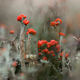 Devil's Matchstick Lichen