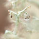 Reindeer Lichen Tree Baubles