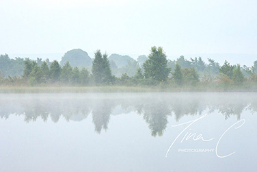 Morning Mist Finnamore
