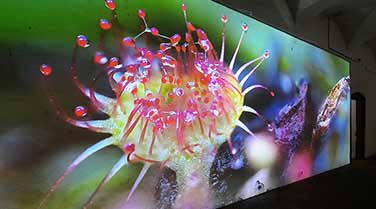 The Peatlands Exhibition - Birr Castle
