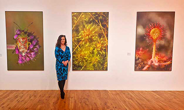 Bogskin Exhibition - RHA