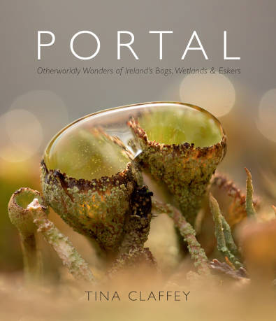 Portal Book